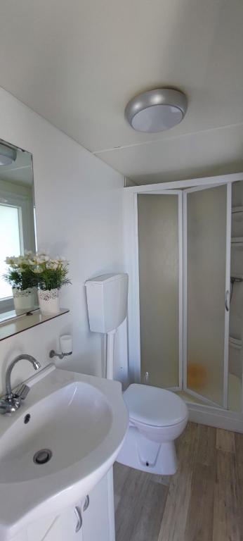 Koupelna v ubytování Camping Ancora