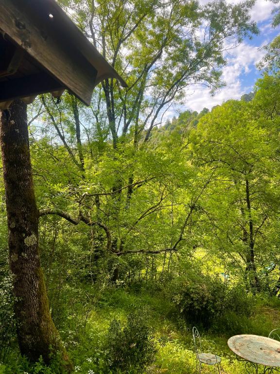 Zahrada ubytování Cabane dans les bois