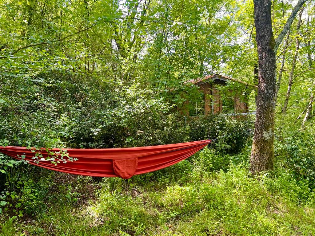 Zahrada ubytování Cabane dans les bois