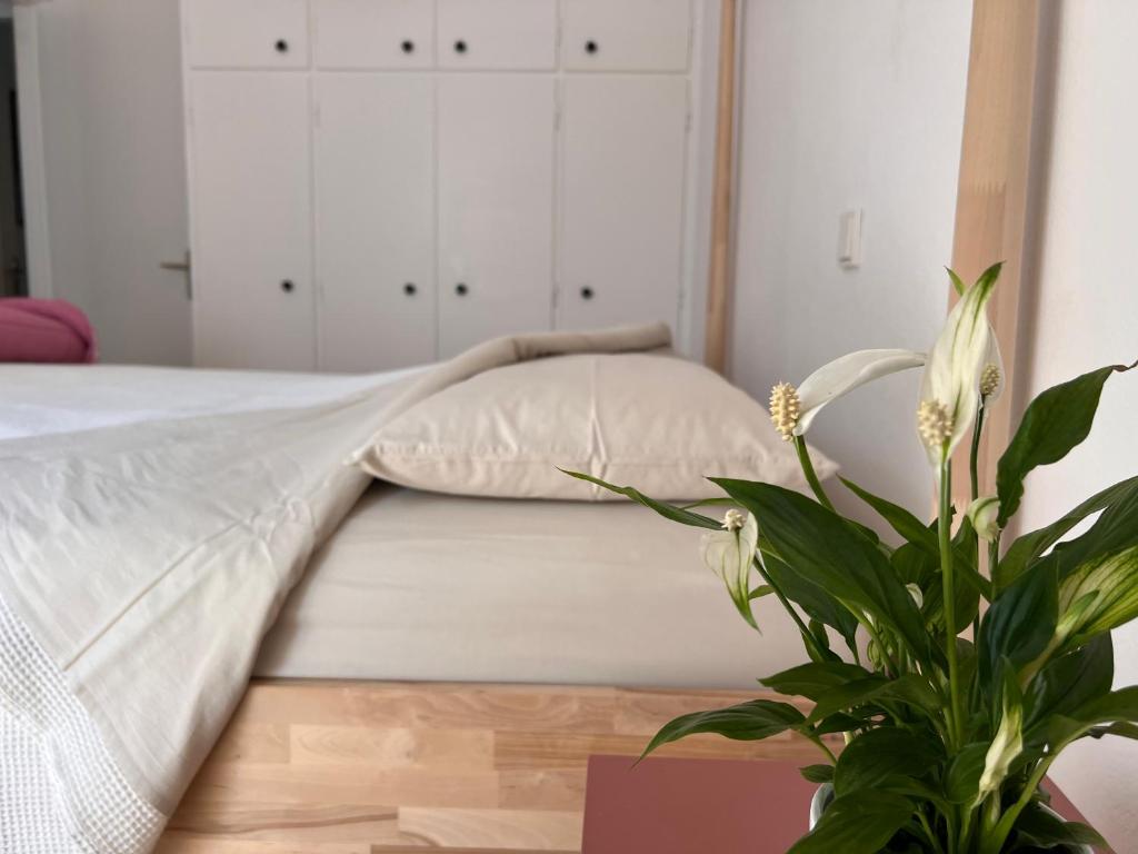 Fotografia z galérie ubytovania Apartment in Paros v destinácii Parikia