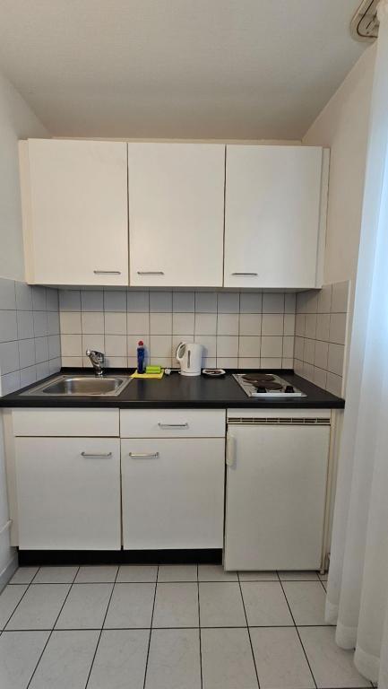 Kuchyň nebo kuchyňský kout v ubytování Elha Hotel