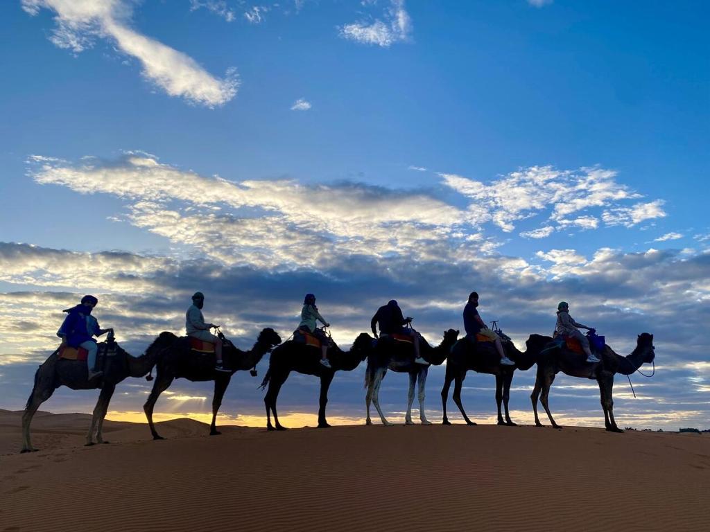 Hosté ubytování Desert Experience Glamping