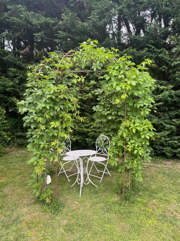 Zahrada ubytování B&B La Terrazza