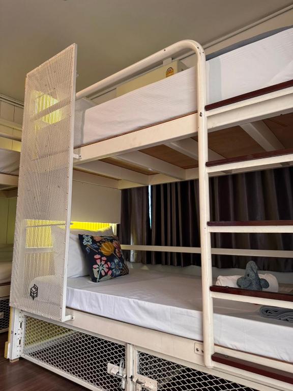 Chiza hostel Chiangmai - 3