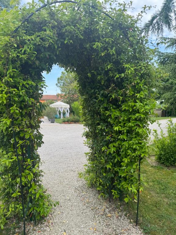 Zahrada ubytování B&B La Terrazza