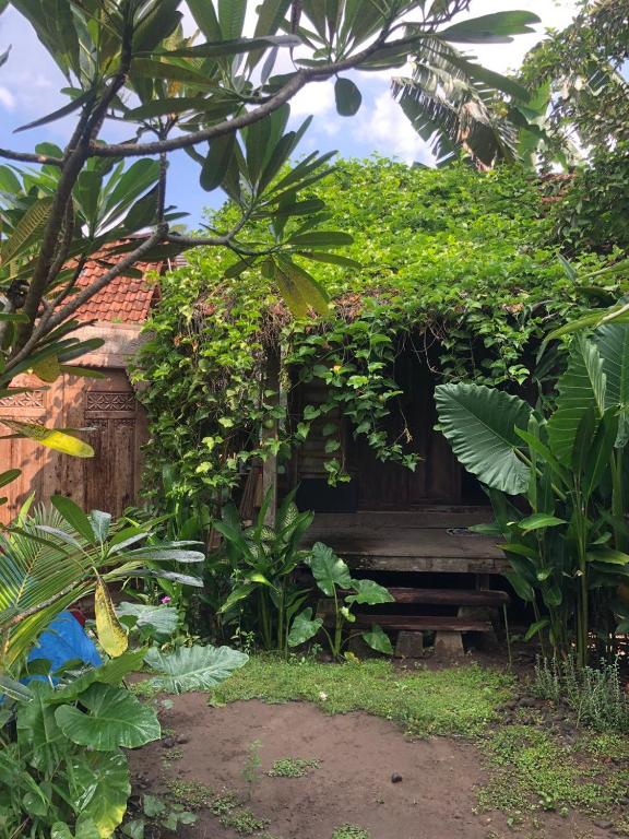 una panchina di legno nel mezzo di un giardino di Omah Guyub 2 a Jarakan