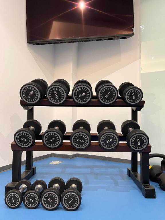 Fitness centrum a/nebo fitness zařízení v ubytování Villa Žnjan - Sea view apartman