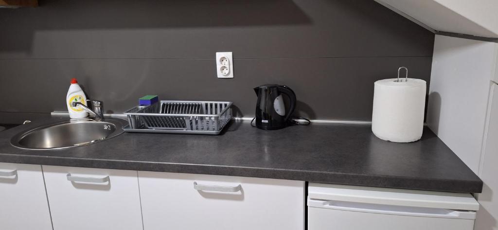 Kuchyň nebo kuchyňský kout v ubytování S-Apartmani Cocetova