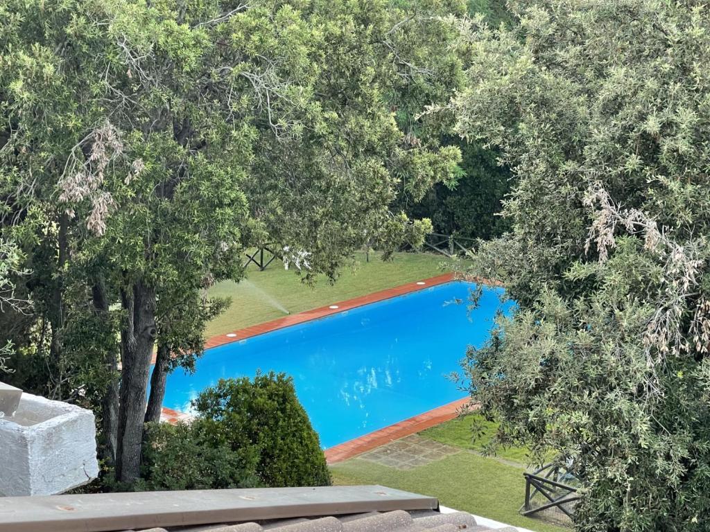 - une vue sur la piscine dans une cour arborée dans l'établissement Cottage Punta Ala Residential Area with Pool, à Punta Ala
