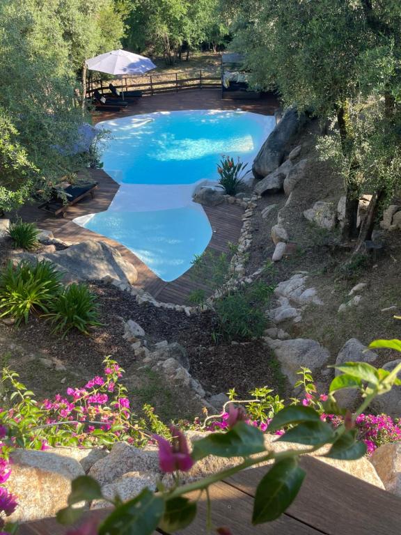 einen Pool in einem Garten mit Blumen in der Unterkunft Chambre d'hôtes A Vadina Porticcio in Porticcio