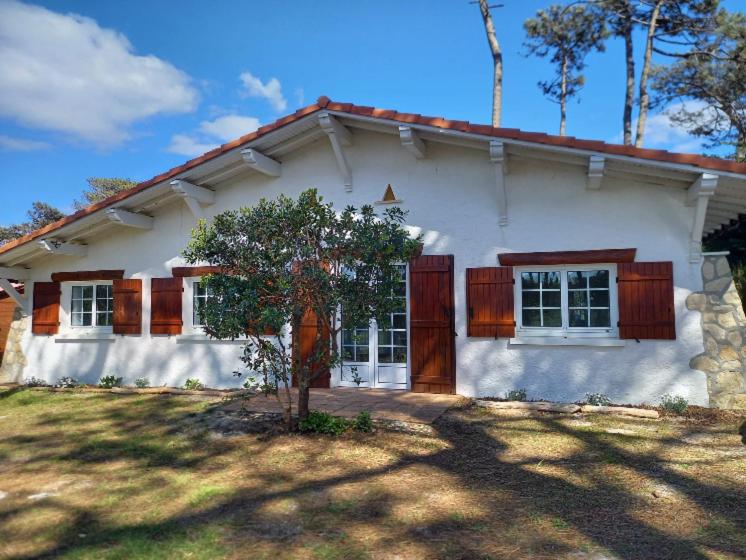 une maison blanche avec un arbre devant dans l'établissement Villa Les écureuils, à Lacanau