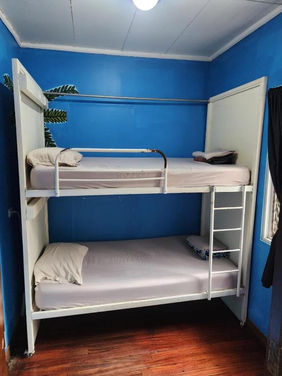 Costa Rica Backpackers - Twin Room