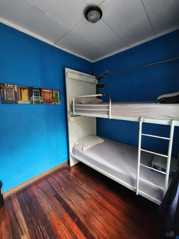 Palanda nebo palandy na pokoji v ubytování Costa Rica Backpackers
