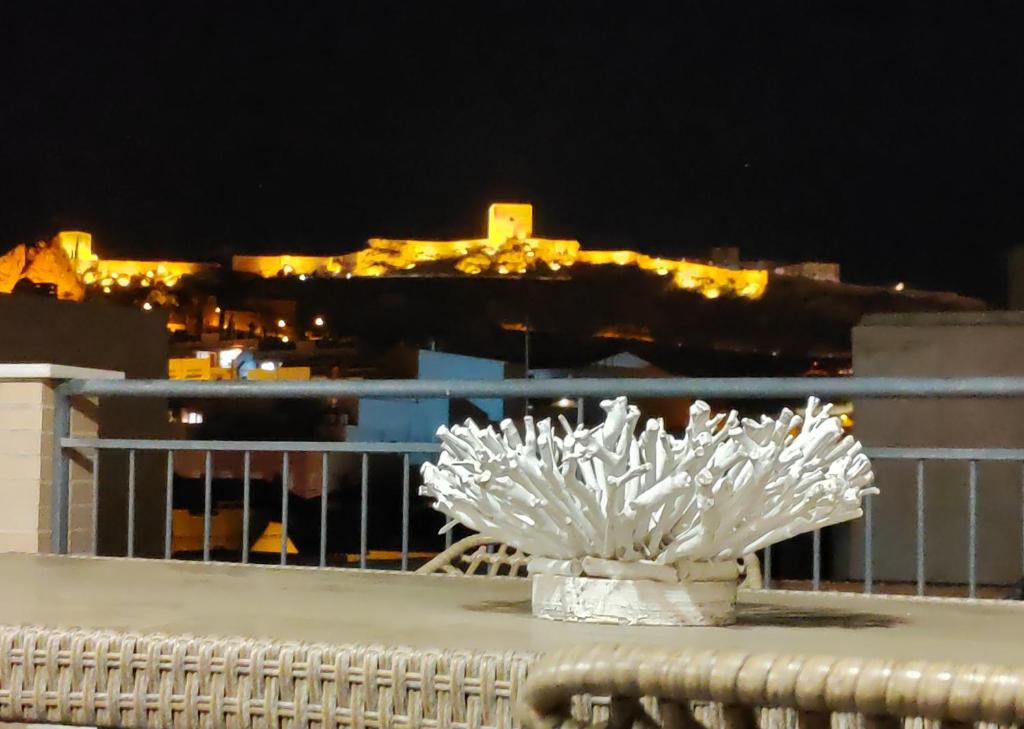 biała roślina siedząca w nocy na balkonie w obiekcie Exclusivo Atico con vistas en el centro de Lorca w mieście Lorca