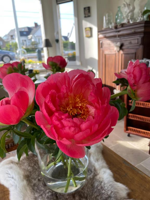 Fotografie z fotogalerie ubytování B&B Villa Navy v destinaci Koksijde