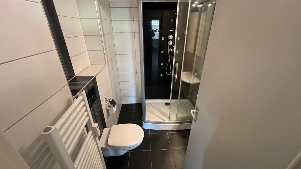 a small bathroom with a toilet and a shower at Apartment in Hannover! contactless check-in in Hannover