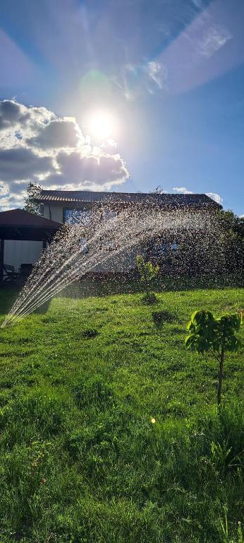 Zahrada ubytování Casa 3 Catei Veseli