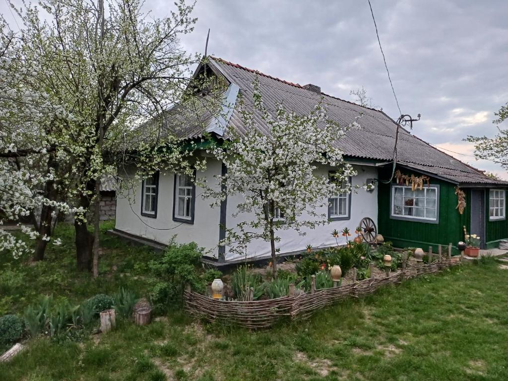 Zahrada ubytování Медова садиба