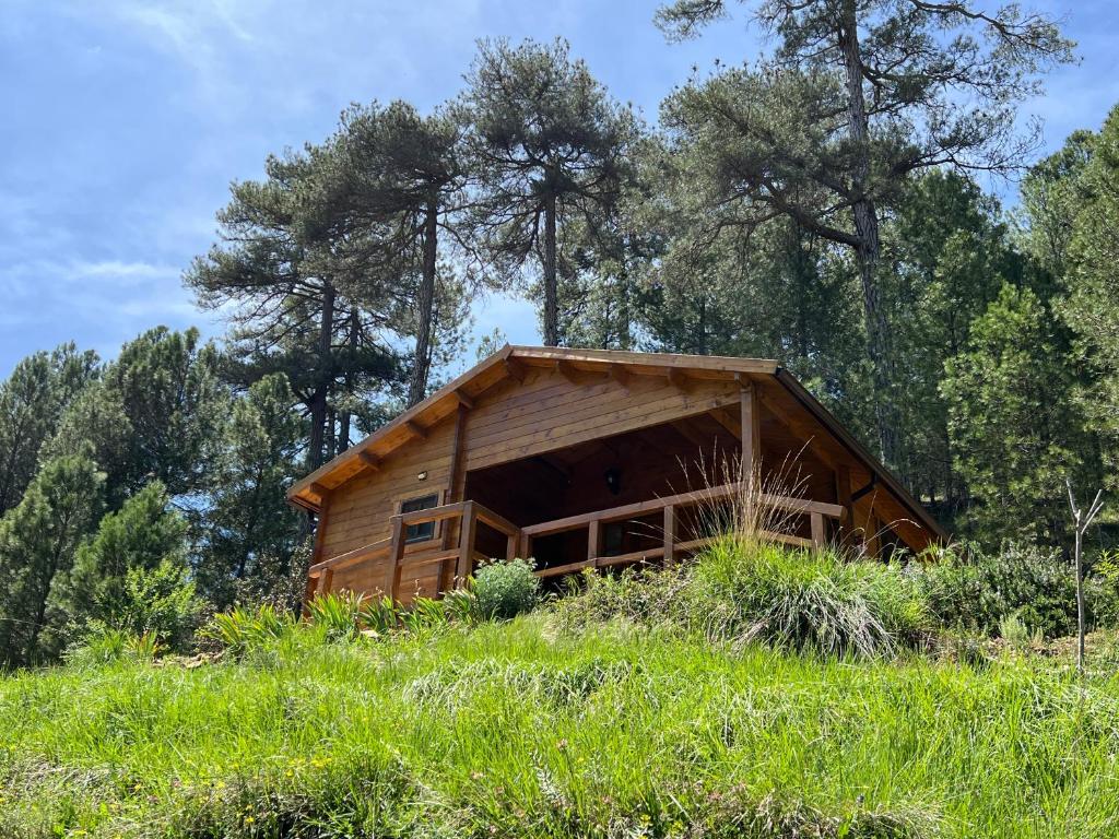 una cabaña de madera en una colina con árboles en el fondo en Cabaña Garrote Gordo en Segura de la Sierra