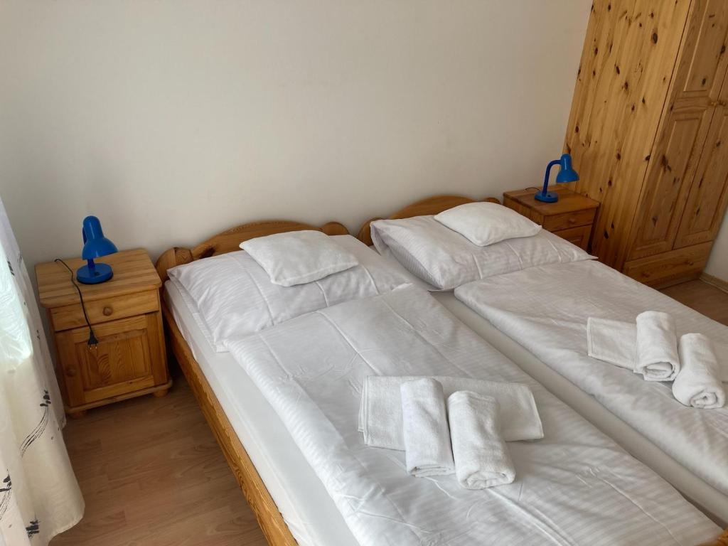 Postel nebo postele na pokoji v ubytování Vila Marko