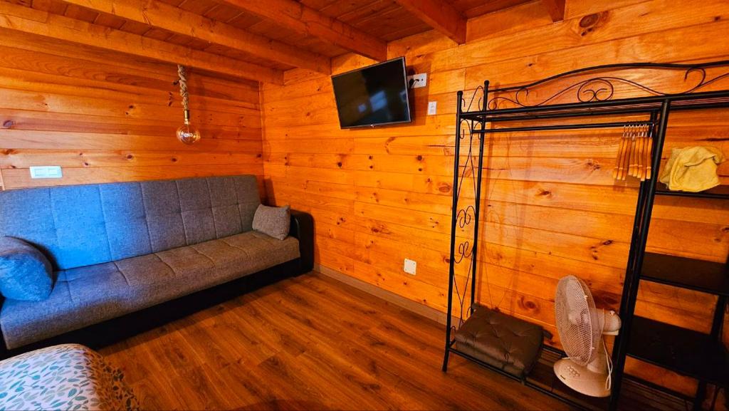 TV a/nebo společenská místnost v ubytování CabanaLanz, Cabañas en Lanzarote