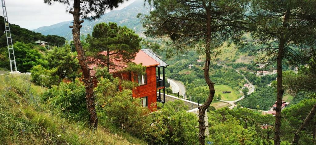 a small red house on a hill with trees at Kozalak Forest Mansion in Akcaabat