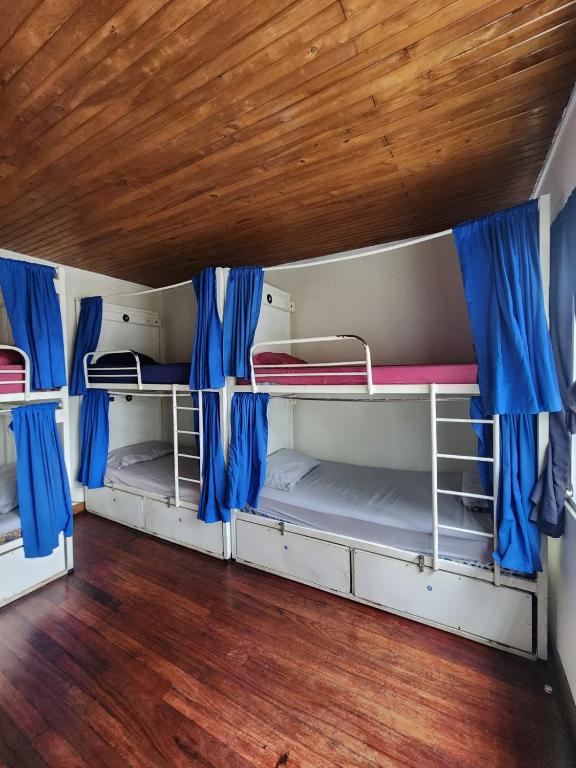 Costa Rica Backpackers - Bed In 8-Bed Mixed Dormitory Room