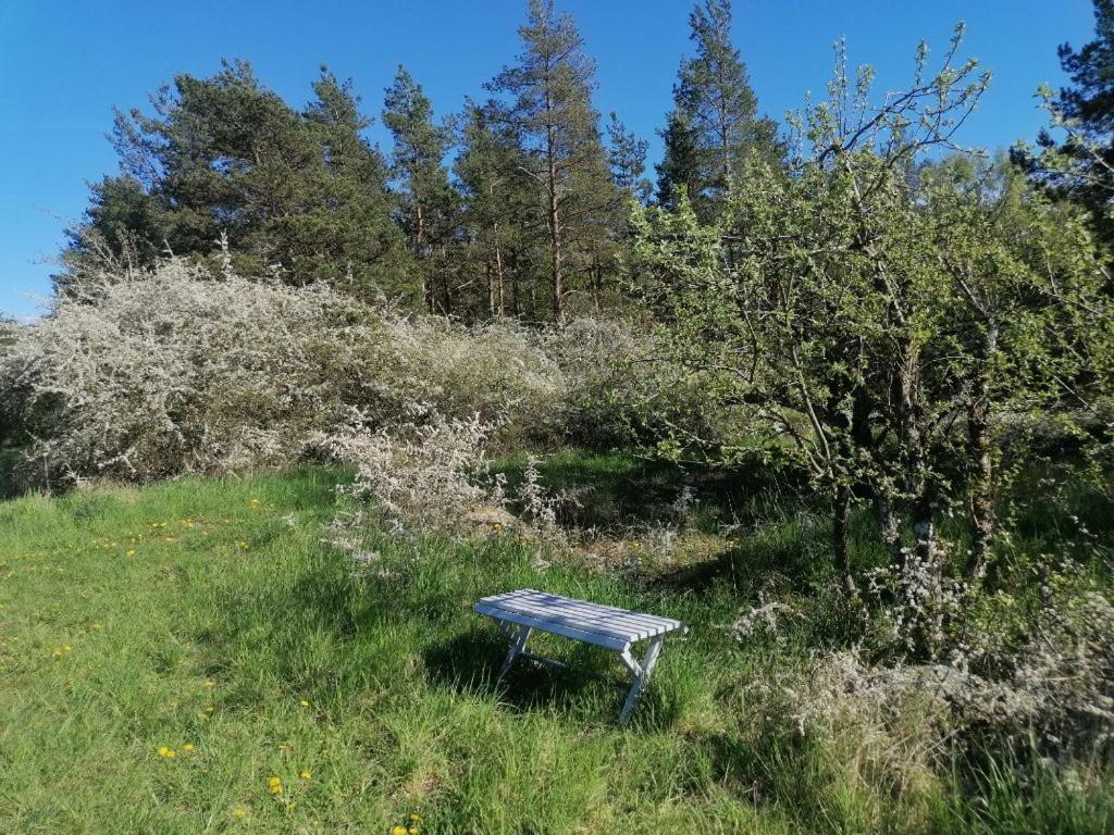 Zahrada ubytování Alva Stugby Gotland