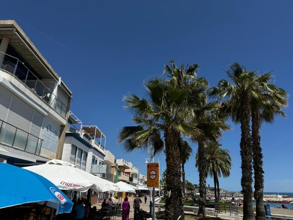 un grupo de palmeras junto a una playa en Apartamento con parking en Pedregalejo, en Málaga
