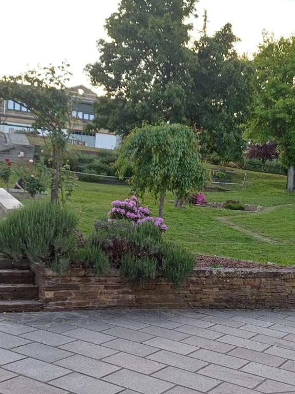 Apartamentos O Caneiro - 5