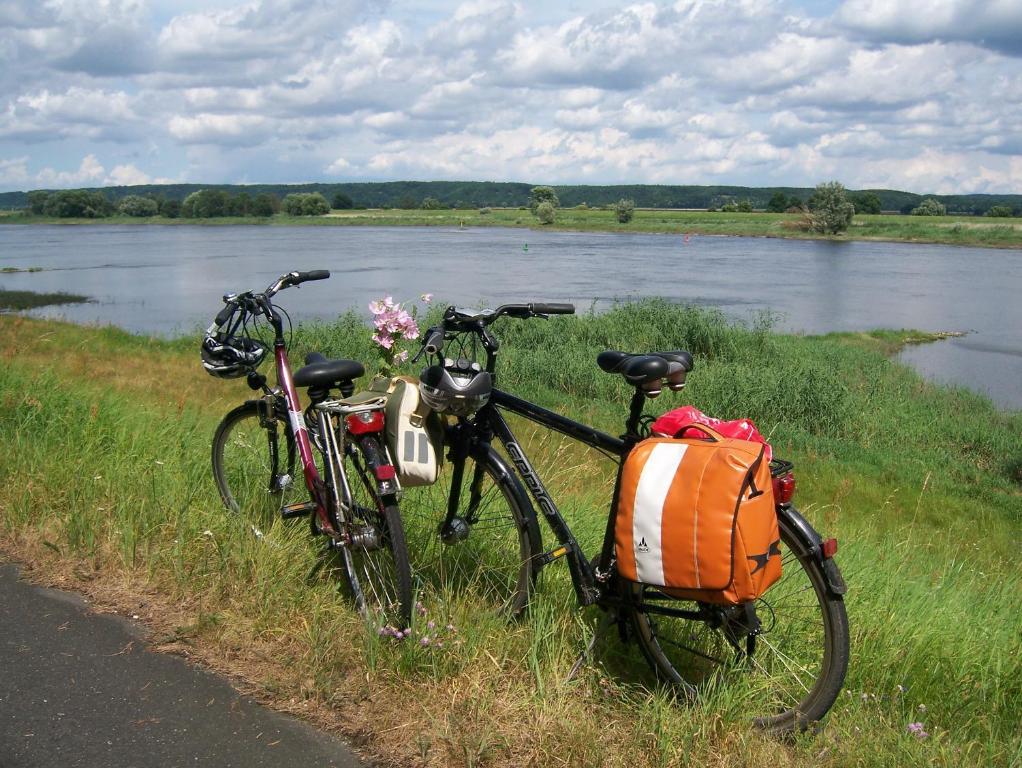 two bikes parked on the side of a river at Ferienappartements Schweizer Haus in Stolpe