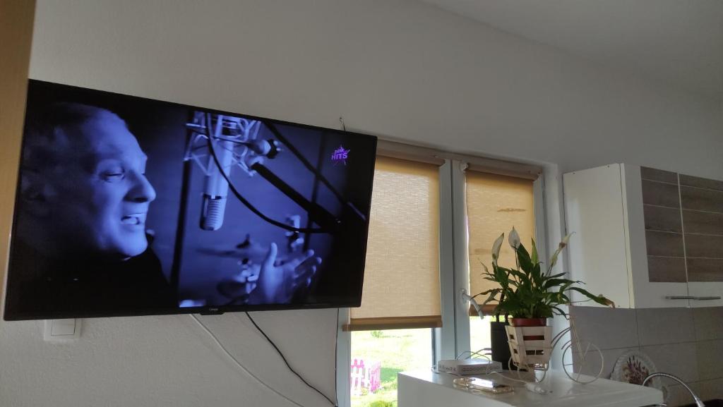 a flat screen tv hanging on a wall at Apartman in Nikšić