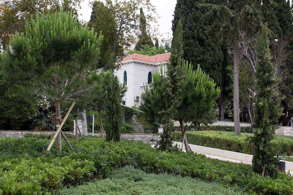 a house in the middle of a garden with trees at Beachfront Dubrovnik Villa in Dubrovnik