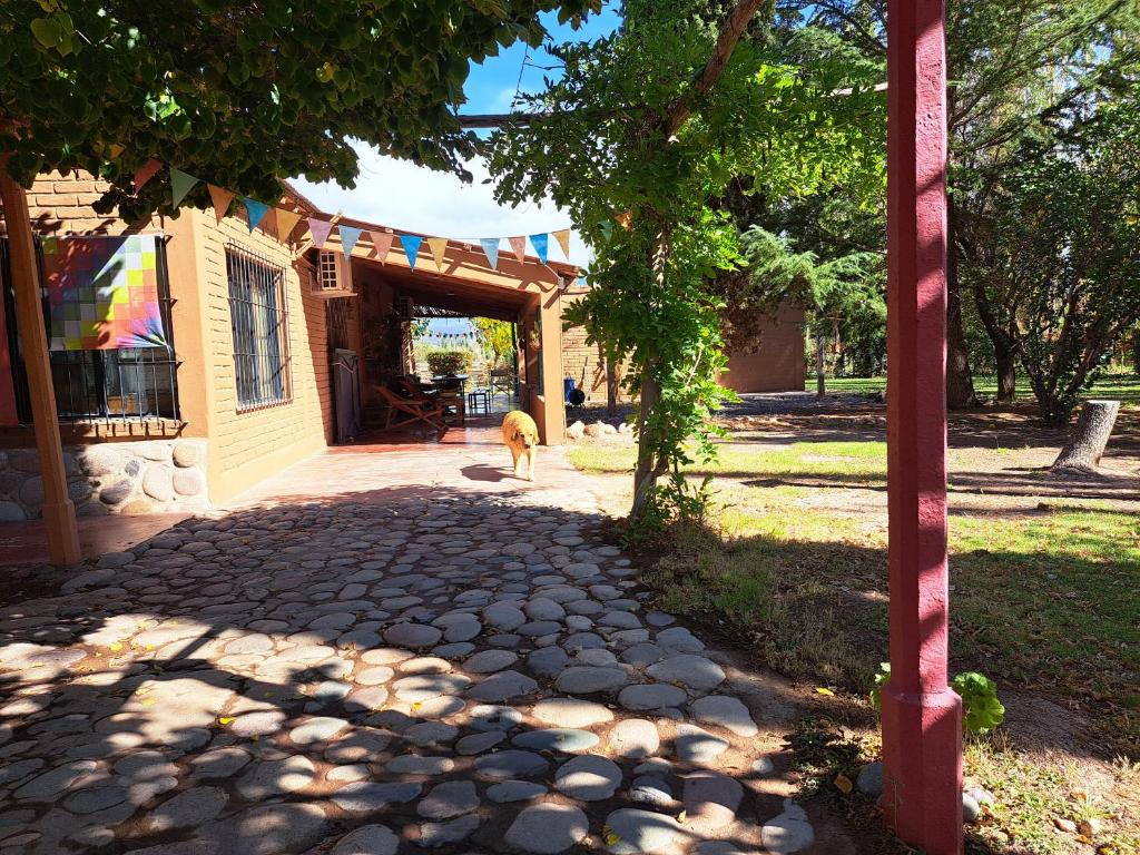 Aire de Barreal Hostel Andino