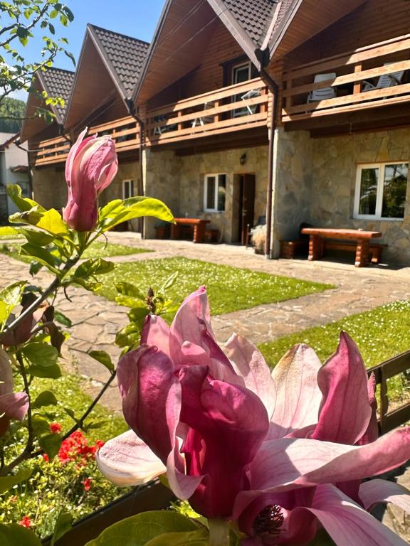 a pink flower in front of a house at Kipreya in Yaremche