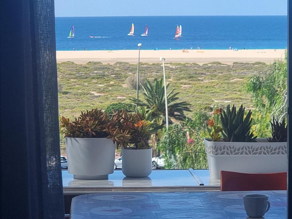 three potted plants sitting on a window with a beach at Apartamento Ura in Morro del Jable