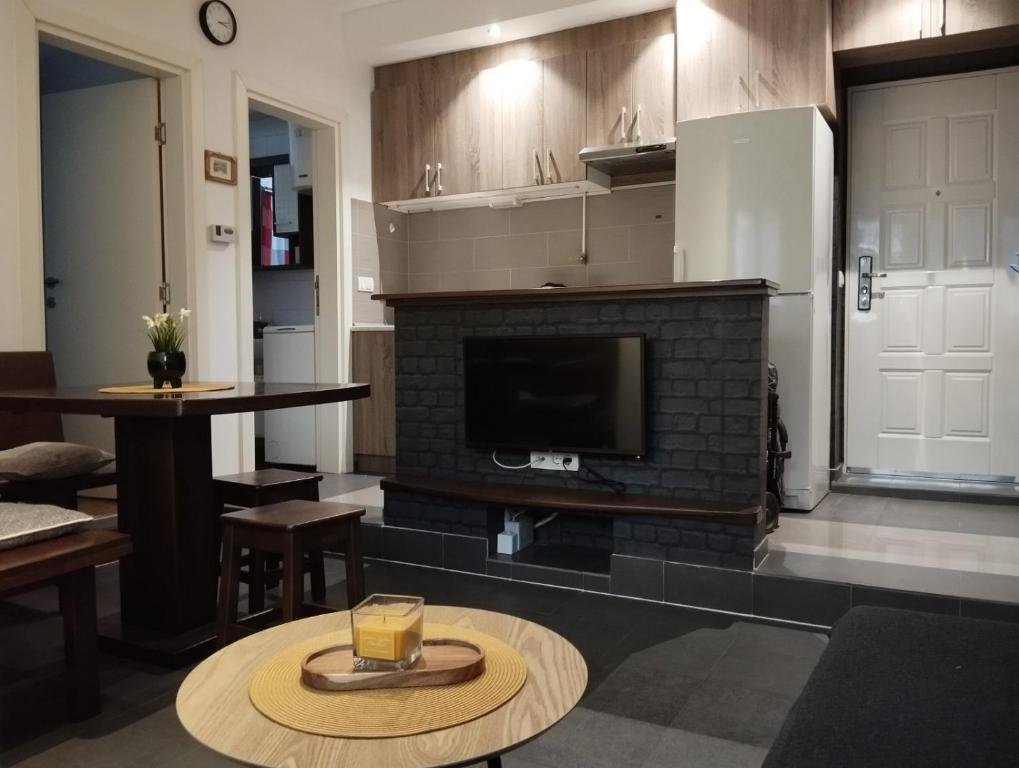 Kuchyň nebo kuchyňský kout v ubytování Apartman Nera