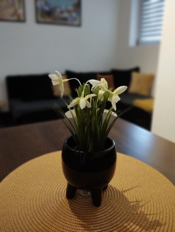Posezení v ubytování Apartman Nera