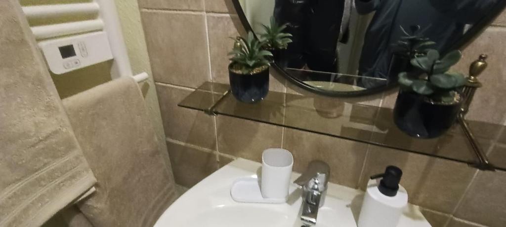 baño con aseo y lavamanos con 2 plantas en Le Cosy Montferrandais, en Clermont-Ferrand