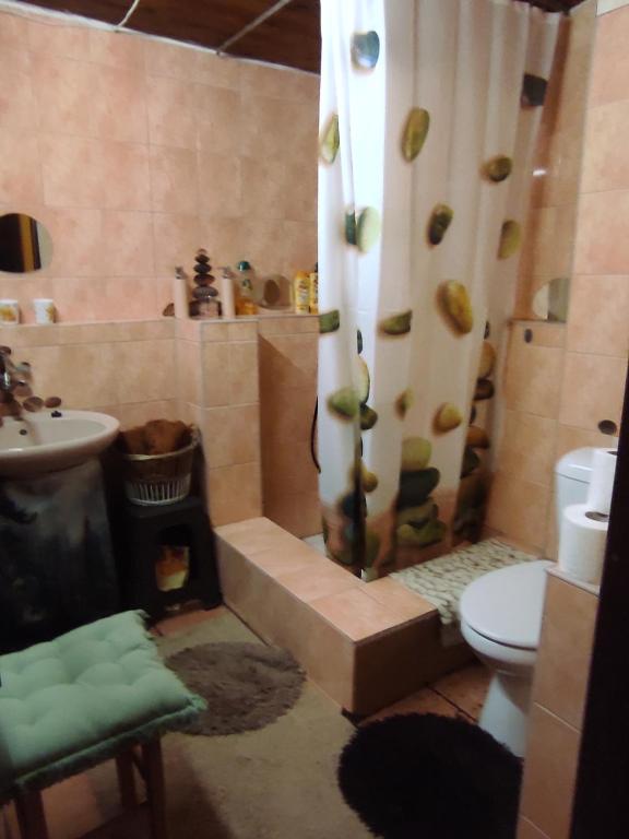a bathroom with a shower with a toilet and a sink at Chata Hvězdička in Litoměřice