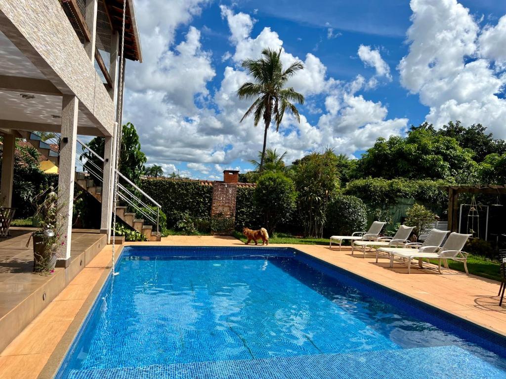 basen z psem stojącym obok domu w obiekcie Cozy apartment in a beautiful property w mieście Brasília