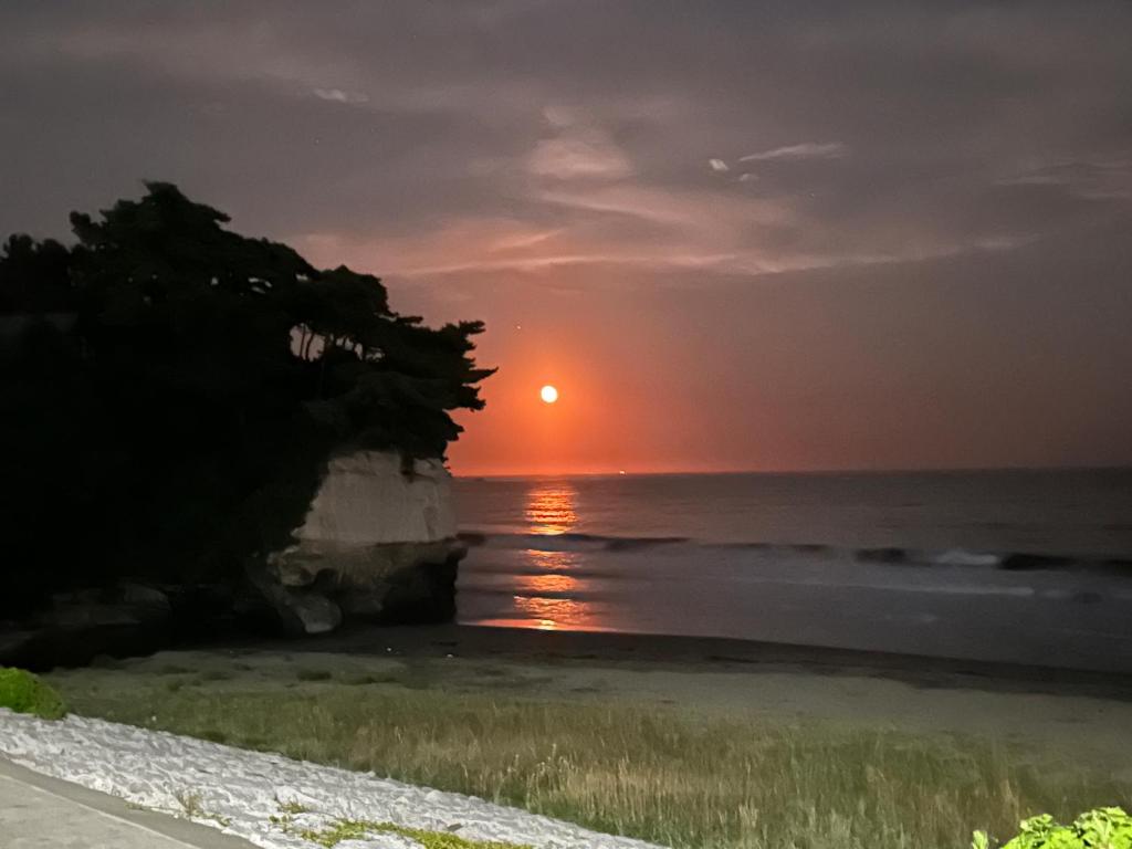 um pôr do sol sobre o oceano com uma árvore na praia em Azukiya em Hanabuchihama