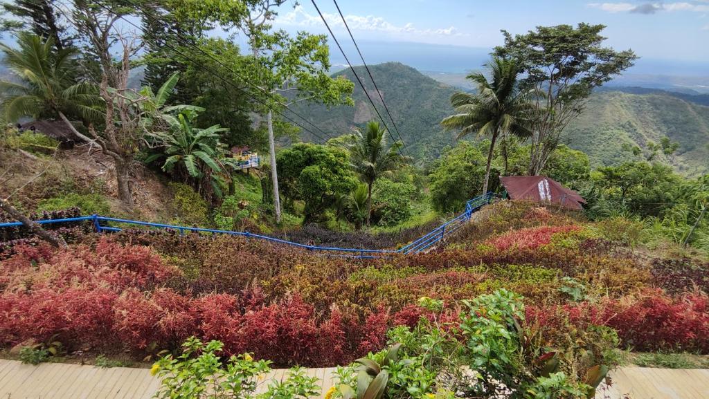 vista su una collina con alberi e piante di JVR Island in the Sky Resort by Hiverooms a Balamban