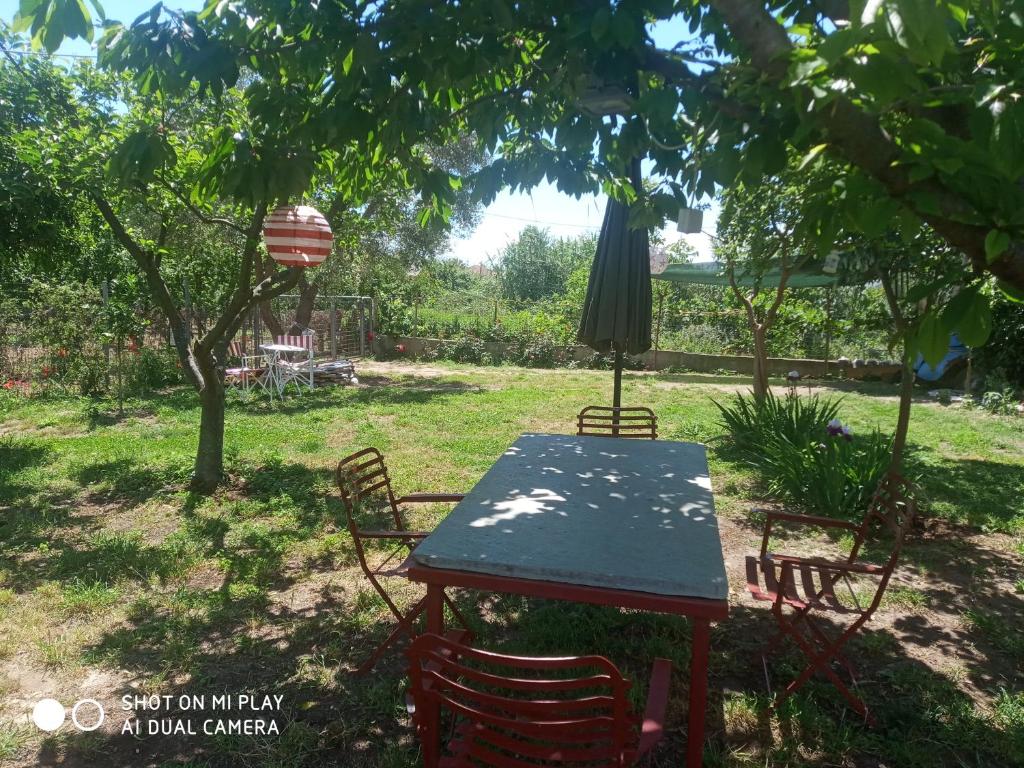 Afbeelding uit fotogalerij van Galini Summer Holidays in Volos