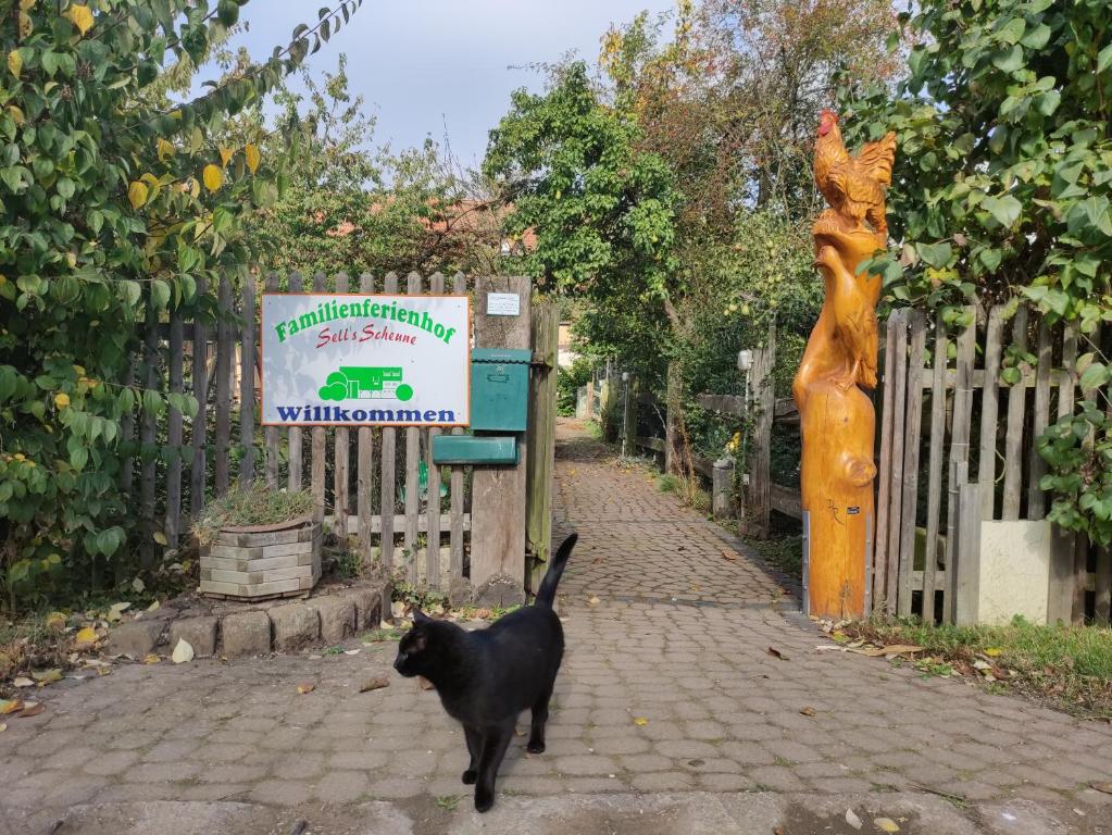 un gato negro caminando delante de una valla en Familienferienhof Sell´s Scheune, en Sundhausen
