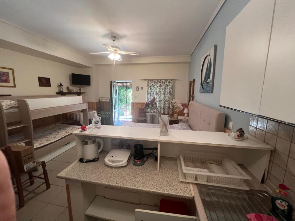 een keuken met een aanrecht in een kamer bij AFISSOS-DREAM 3STUDIOS in Afissos