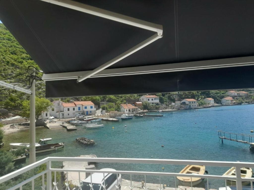Příroda nedaleko apartmánu