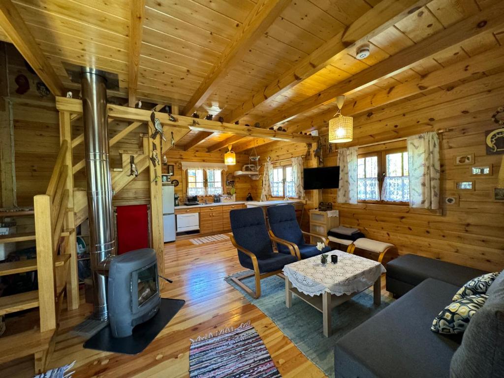 a living room with a fireplace in a log cabin at Domek Borsk in Borsk