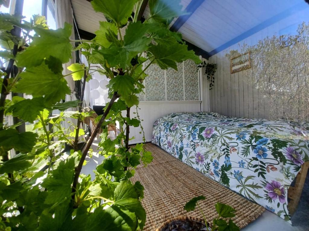 Zahrada ubytování Hemma fran Hemma - Glamping