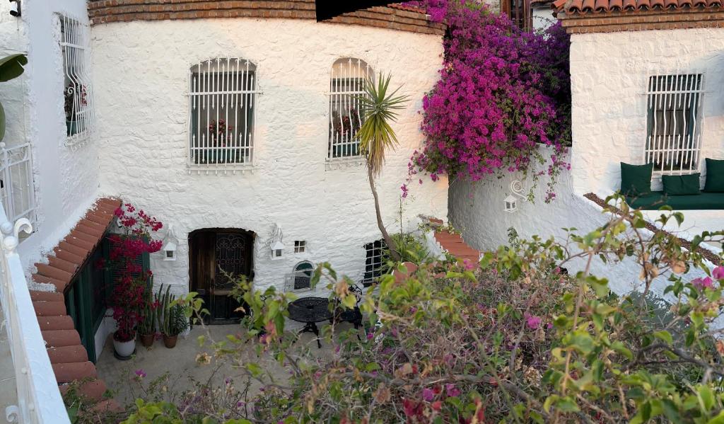 Zahrada ubytování 8 oDa Marmaris